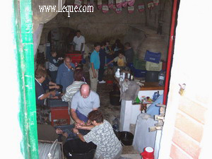 Actividad fren�tica en la cueva