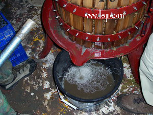 Ya sale el mosto, zumo de uva